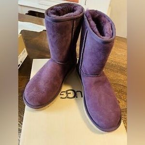 Classic Short Uggs Portwine/Purple